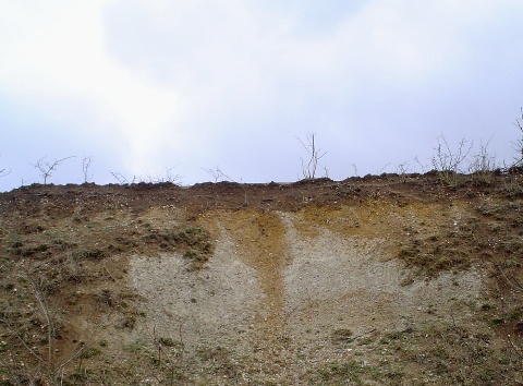 ice wedge in the sediments