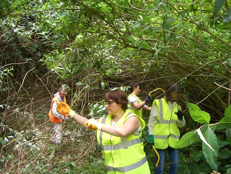 Volunteers cutting vegetation at Taplow Pit in 2008.