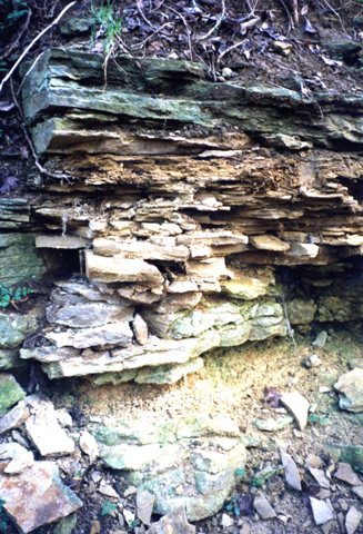 Flaggy limestone within the small quarry