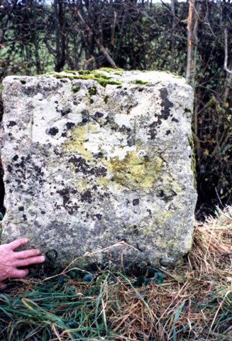 The Gypsy King's grave is marked by this Portland stone block at
Pitchcott Hill
