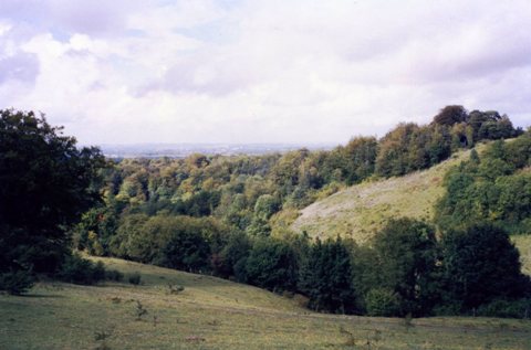 Dry valley on the Ridgeway Path near Kimble