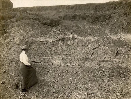 Mr Bliss's Brick Pit, Stewkley, flattened to make way for a World War 2 airfield, exposed Kimmeridge Clay