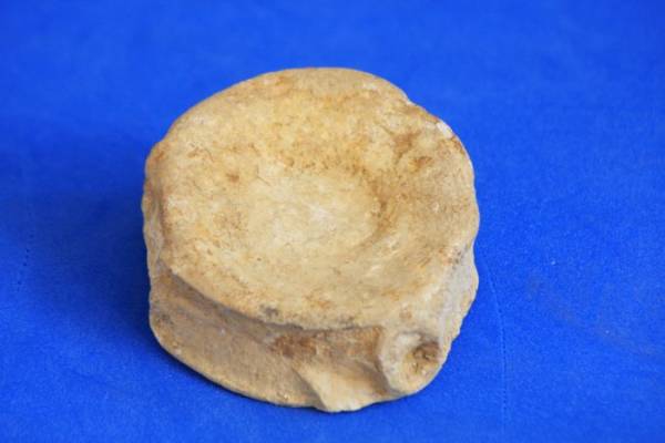 Ichthyosaur vertebra.