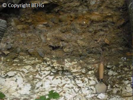 Lambeth Group: Upnor Formation showing evidence of burrowing into the chalk by crustaceans Harefield, Middlesex