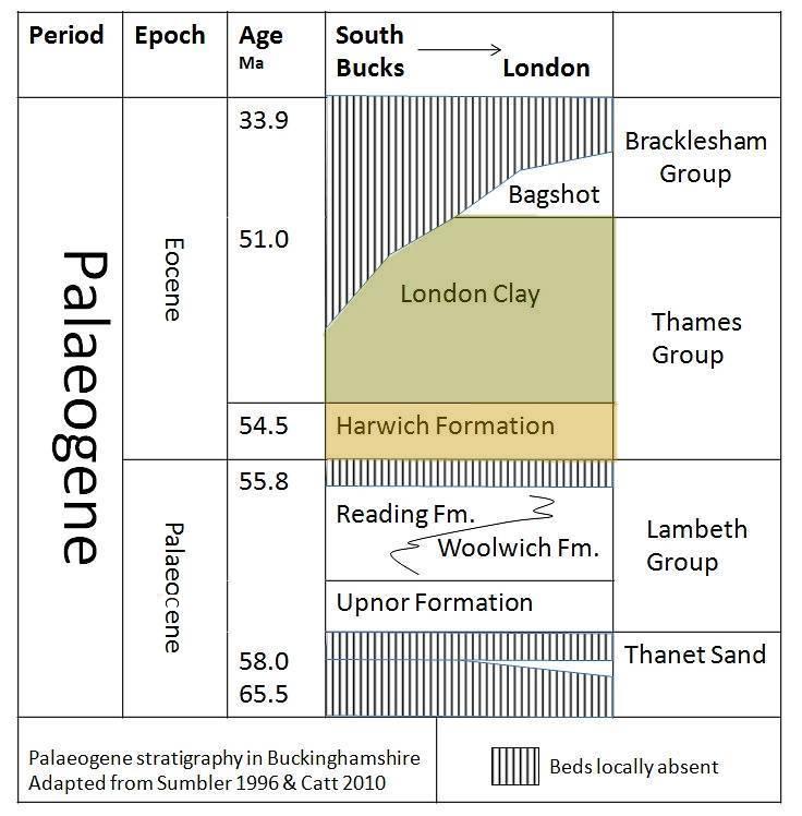 Palaeogene Strtigraphy Chart