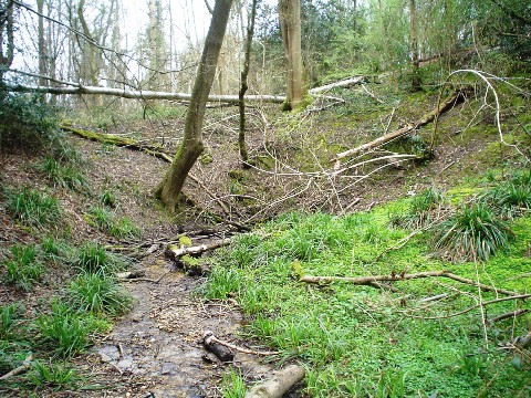 The stream leading to the blind end of the valley where it disappears down the swallow-hole