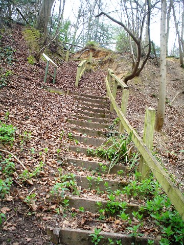 The steps leading to the viewing platform for the fossil swallow hole