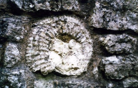 Titanites built into a Kimble wall