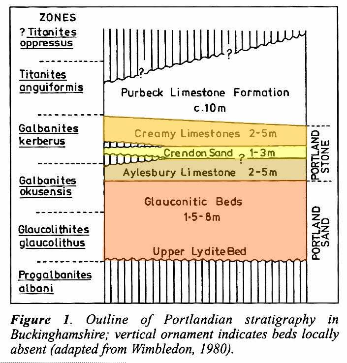 Portland Strtigraphy Chart