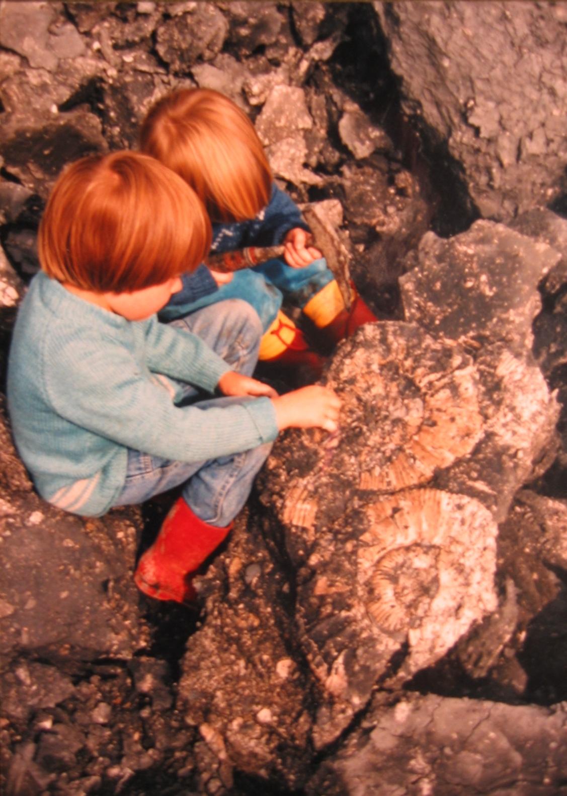 Rock and fossil day at the Bucks County Museum