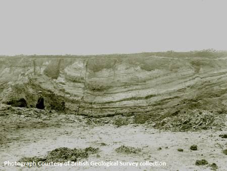 Windmill Pit, Wheatley, Oxfordshire. Although not from Bucks, this photo shows the Whitchurch Sand Formation comprising thinnly bedded sands, dark bands of iron stone and clay lenses. The folding an faulting is a result of cambering.