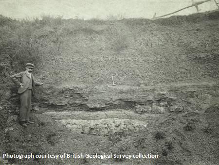 Windmill Quarry, Long Crendon - 1899. The pale beds at the bottom of the face are Purbeck Fm. Overlain by clays and ironstone lenses, assigned to the Whitchurch Sand Fm. The hammer marks the Junction Beds and the base of the Gault.