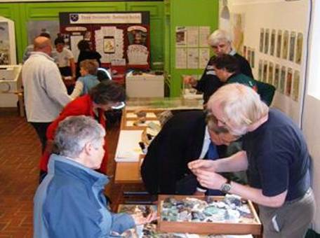 Rock and fossil day at the Bucks County Museum